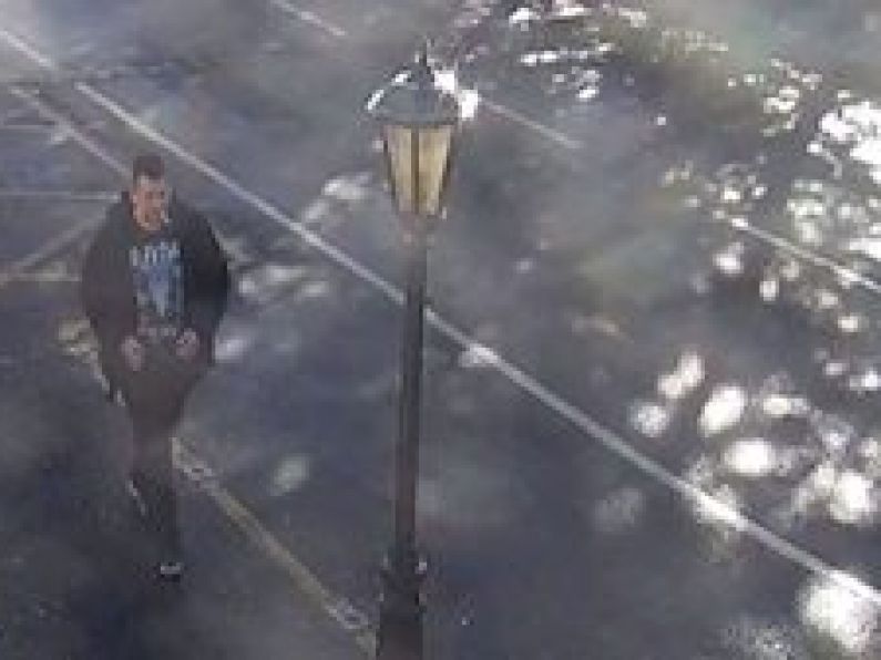 Gardaí release CCTV footage of Icelandic man missing in Dublin