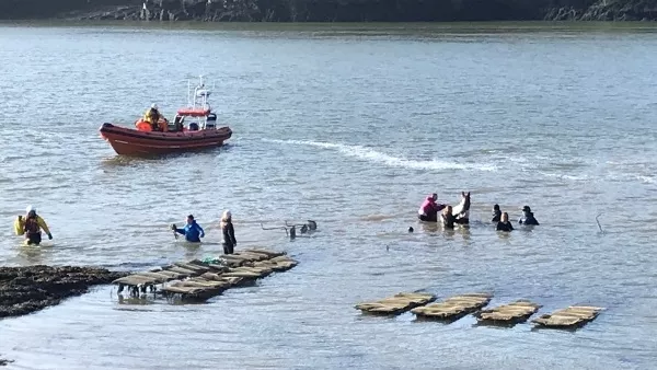 Three teenagers and a horse rescued by lifeboat crew in Cork