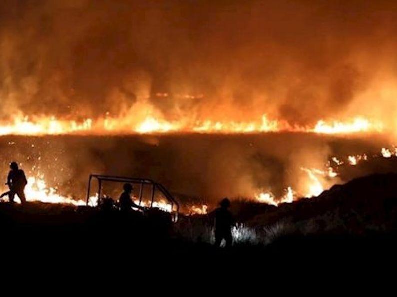 UK firefighters battle blaze as wildfires tear through Britain