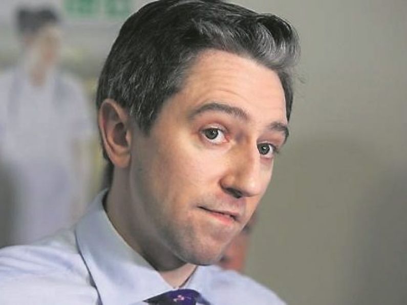 Harris stands by 'reasonable' €1.4bn spend on children's hospital