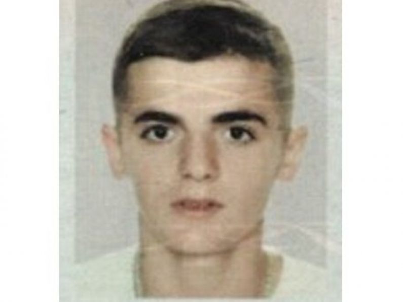 Teenager missing from Co Meath