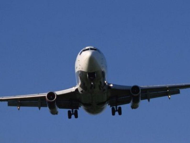 'His body was an ice block': Body of plane stowaway landed one metre from man sunbathing in garden