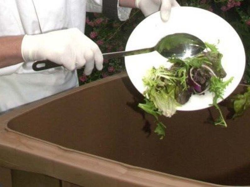 Research shows much of Ireland's food waste costing €300 million is avoidable