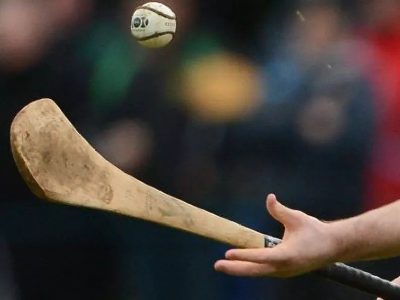 Carlow hurlers named in Team of the Year