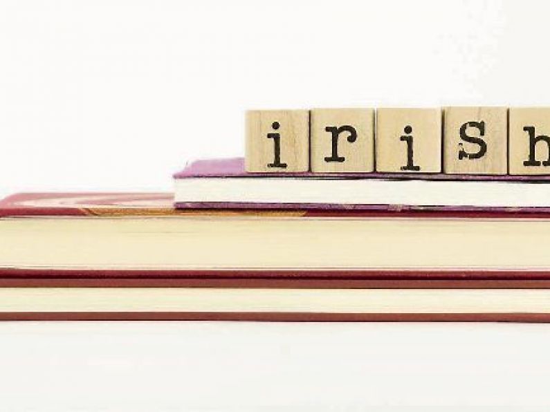 Just 2.62% of Government employees have 'ability to conduct business through Irish'