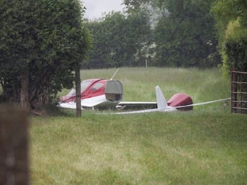 Kildare plane crash investigation shows aircraft rapidly lost height and hit the ground 30 seconds later