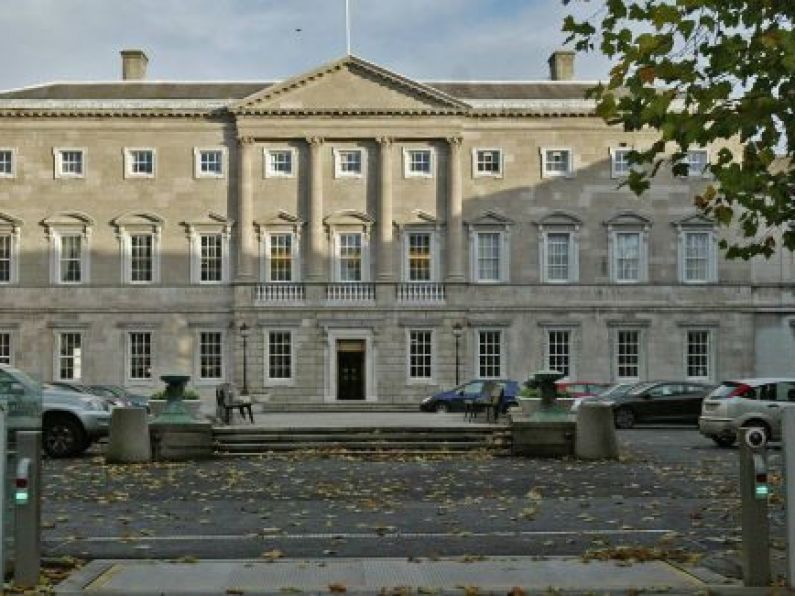 Momentary panic after rat spotted in Leinster House