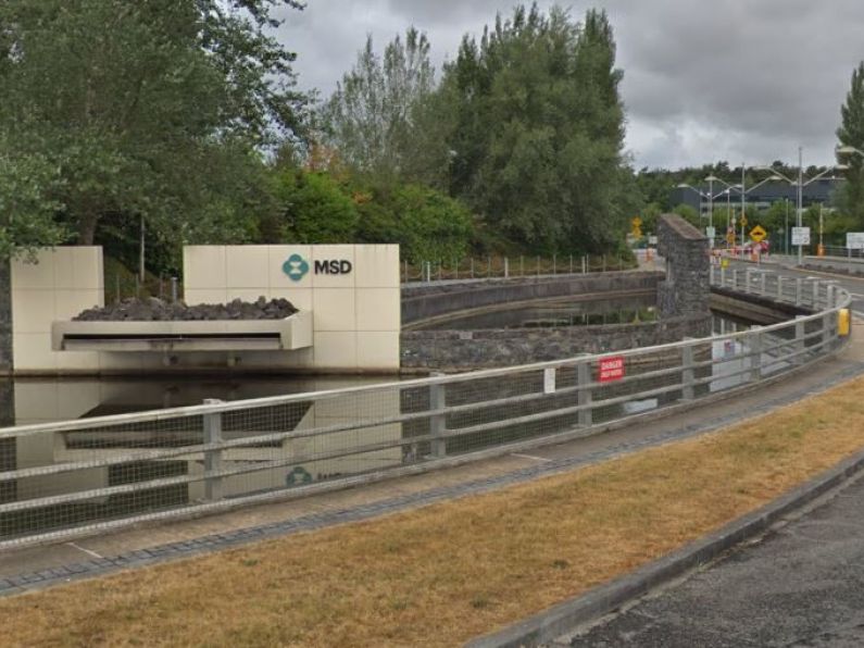 Pharmaceutical Giant MSD to create 300 jobs at their Carlow site
