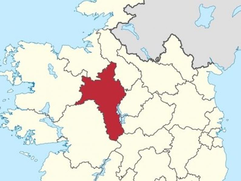Planning permission granted for controversial energy plant in Roscommon