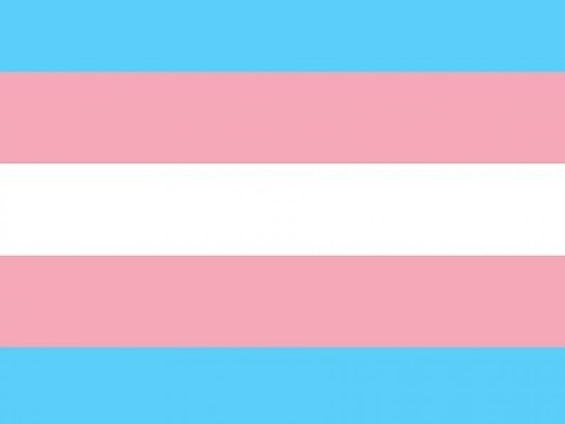 Second Transgender Pride rally to take place in Dublin today
