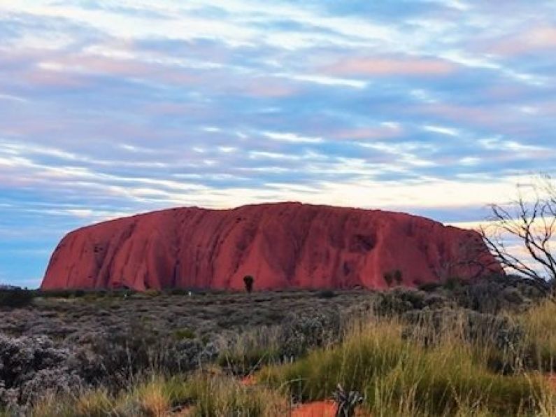 Outrage as 'processional caterpillars' flock to scale Ayers Rock before ban