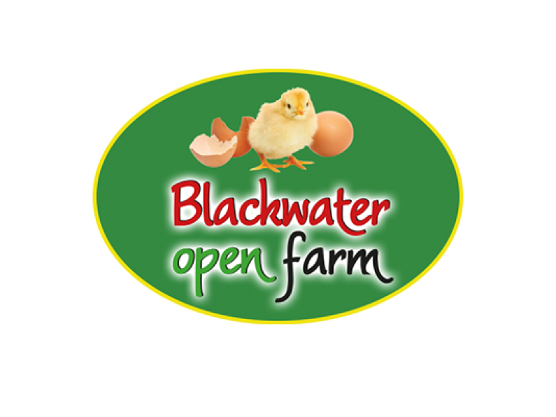 The Audi A1 Beat Fleet will be at Blackwater Open Farm this Sunday