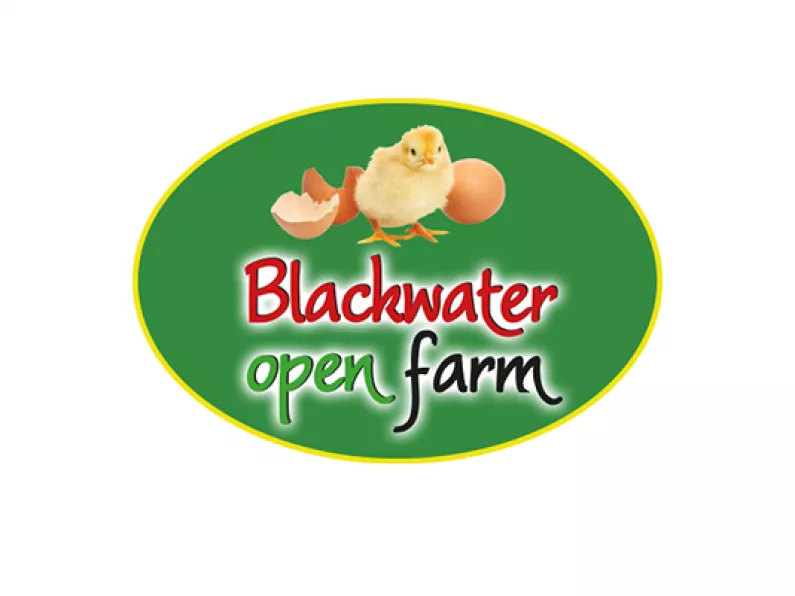 The Audi A1 Beat Fleet will be at Blackwater Open Farm this Sunday