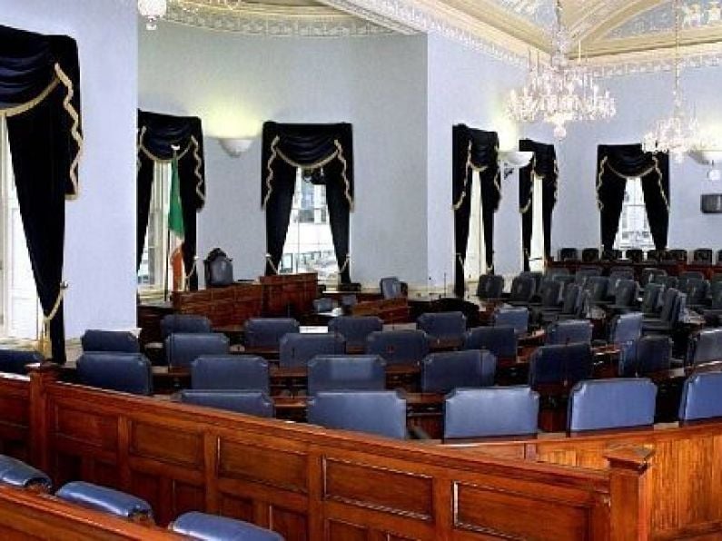 Designate a Seanad seat for a Traveller, group suggests