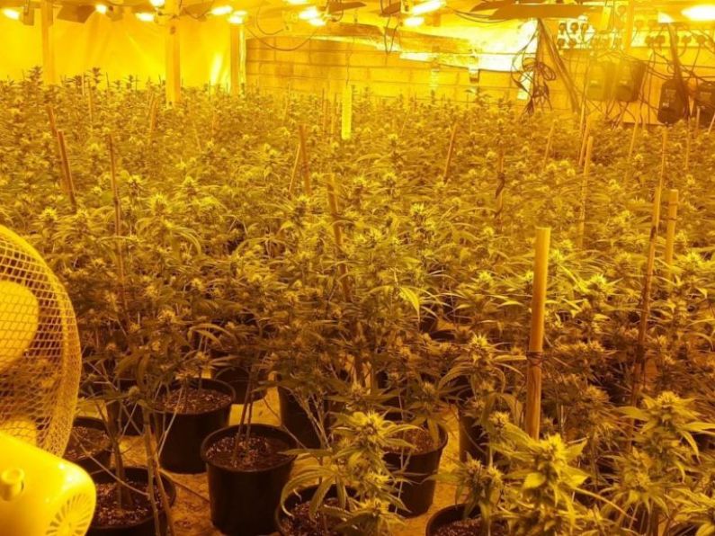 Gardaí make arrests following growhouse discovery in Waterford
