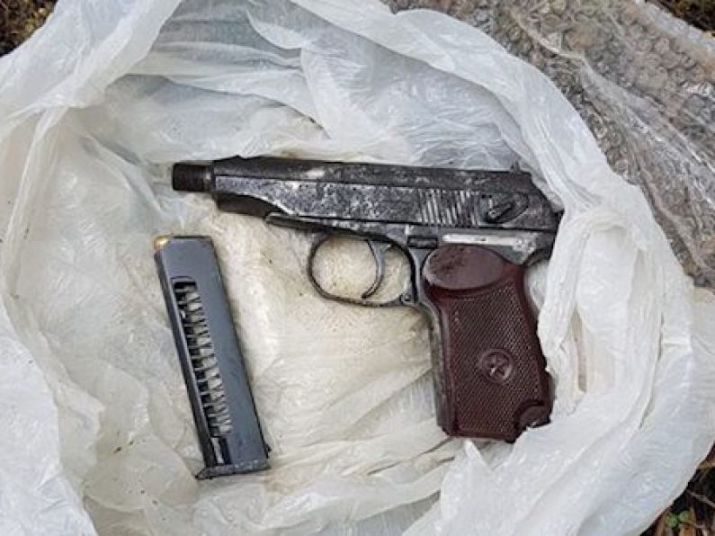 Defence Forces and gardaí find gun and ammunition near community college in Dublin