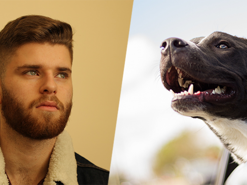 Study shows that men with beards carry more dangerous bacteria than DOGS