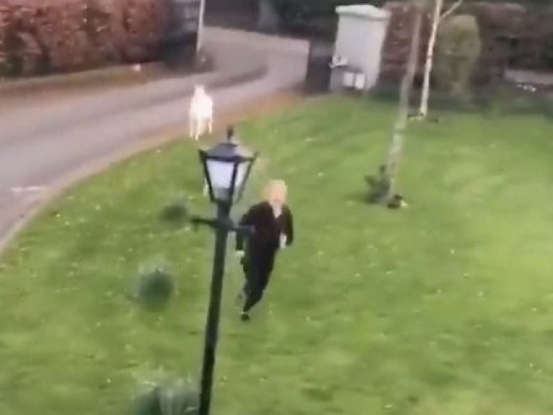 Woman being chased by a goat has been the most-watched video today