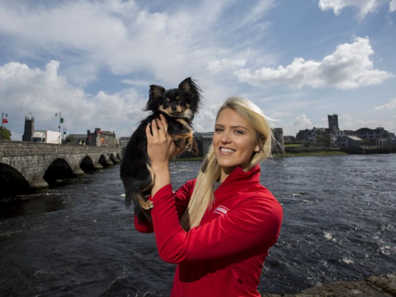 Ireland's Top Ten Doggie Breeds Revealed by Petmania
