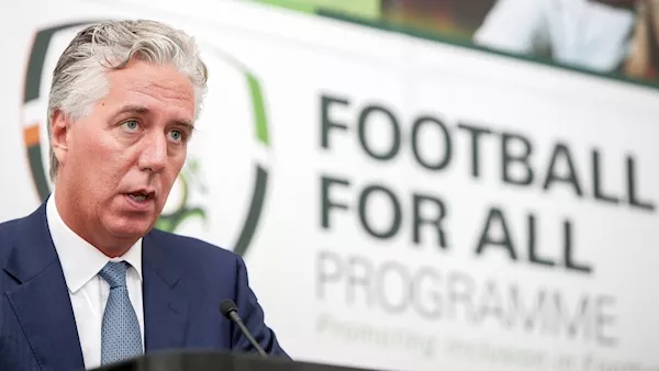 John Delaney says new FAI position created in response to 'impossible' workload