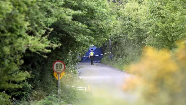 Update: Gardaí issue details of car they seek in connection with man's shooting near motorway