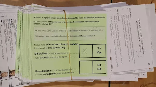 #Elections2019 Bulletin: Dublin count halted over transfer row; Billy Kelleher in 'good position' in Ireland South