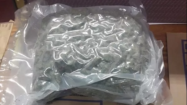 Teenager arrested after €42k of drugs seized in Drogheda