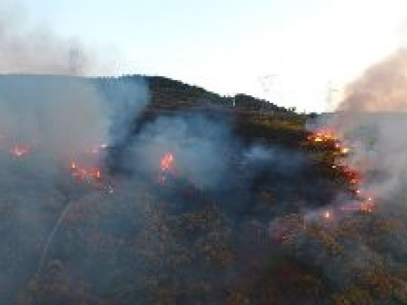 Status Orange forest fire warning issued as temperatures rise this week