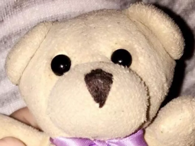 Couple in emotional appeal for return of very special teddy bear