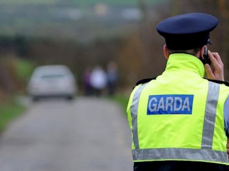 Man, 30s, dies following paragliding accident in Wicklow