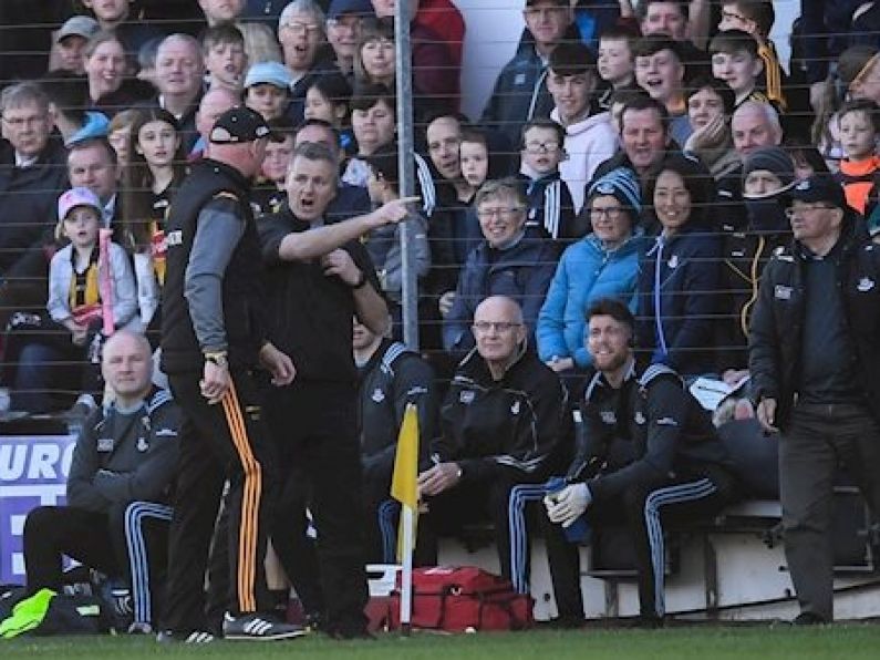 Dublin selector faces four-week ban following Kilkenny sliotar grab