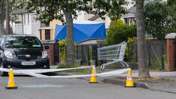Update: Gardaí hunt for three men in fatal shooting of Iranian hitman in Dublin