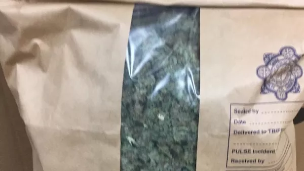Man arrested after cannabis growhouse found in Co. Kildare