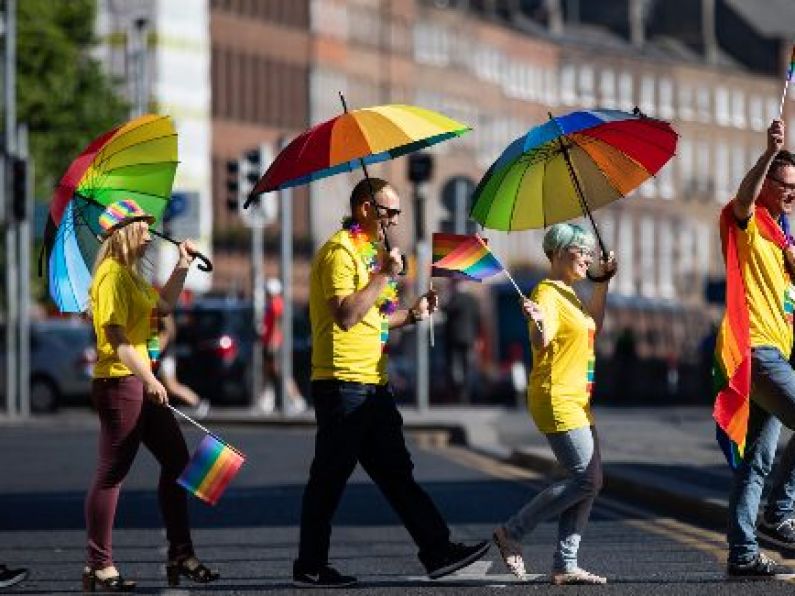 Pics: Garda cars get rainbow makeover for Dublin Pride