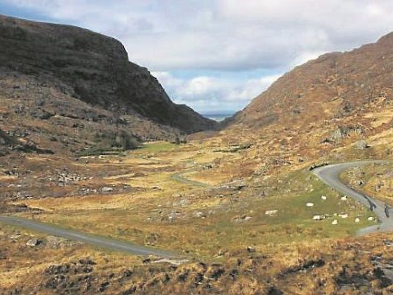 Gardaí renew appeal for witnesses to fatal collision on the Gap of Dunloe
