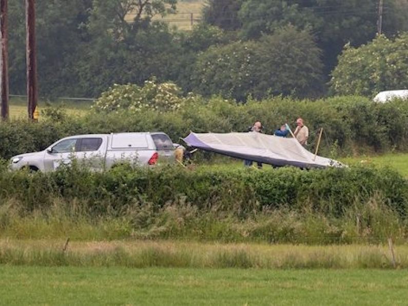 Air Accident Investigation Unit say fatal Kilkenny aircraft crash caused by collision with electricity poles