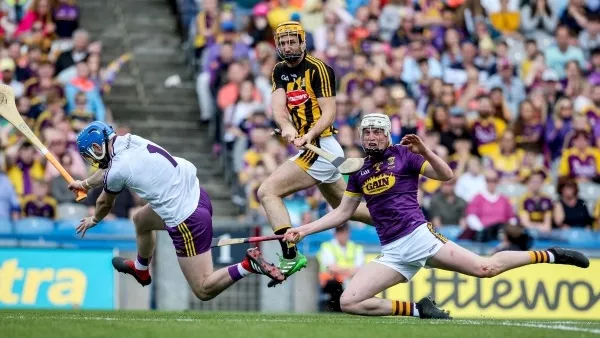 Wexford fight their way to victory over Kilkenny and first Leinster senior title in 15 years