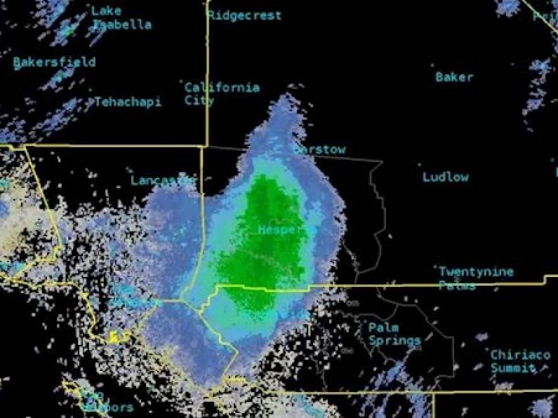 Ladybird 'bloom' over California is so big it is picked up by weather radar