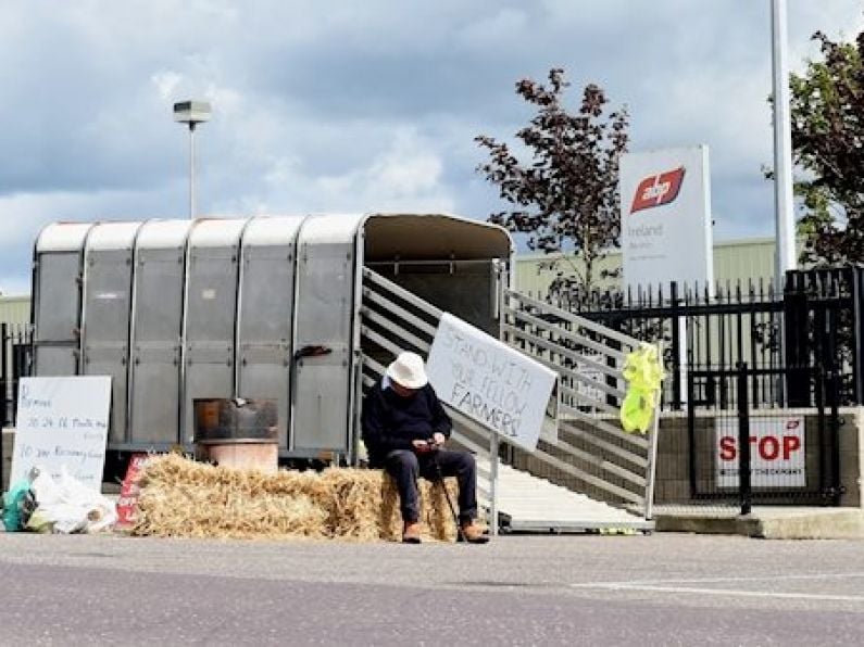 Minister Creed 'too hands-off' in beef dispute, says Fianna Fáil