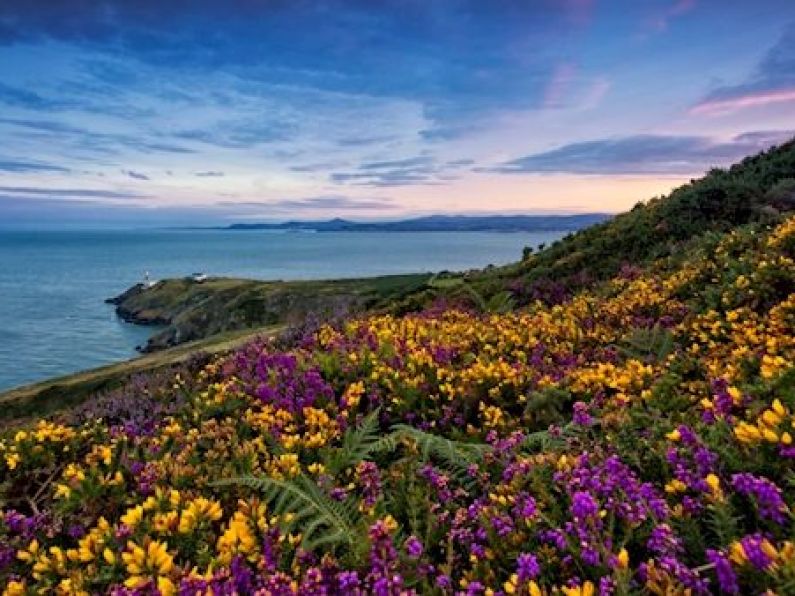 Howth trail listed as one of the world's most thrilling running routes