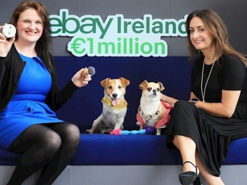 Around 50 SMEs see sales rise by more than €1m in four months