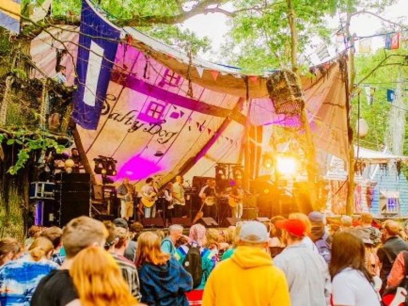 Electric Picnic to crack down on single-use plastic
