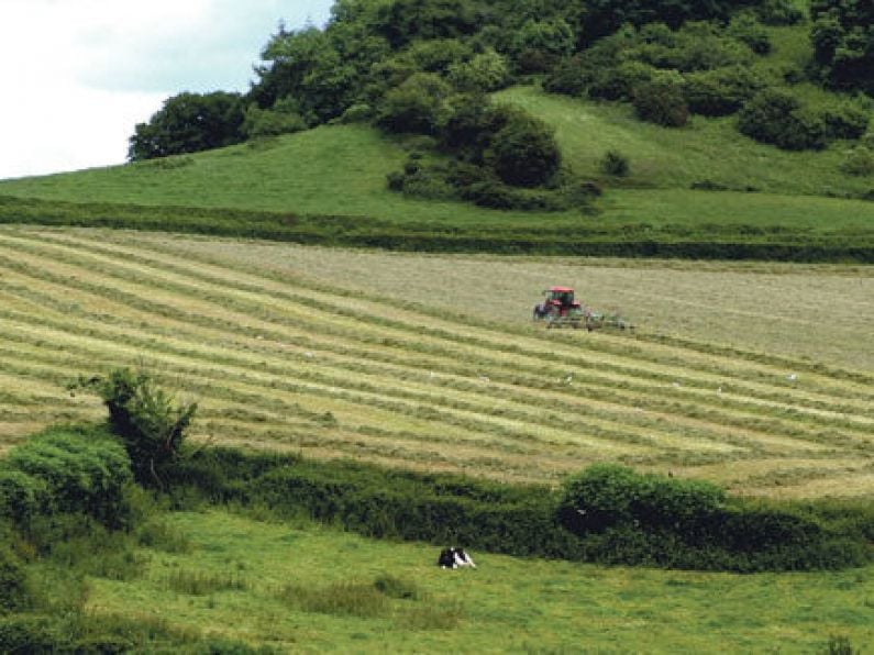 A man has died following a bull attack on farmland