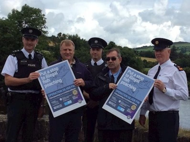 Gardaí and PSNI launch joint operation to tackle fish poaching