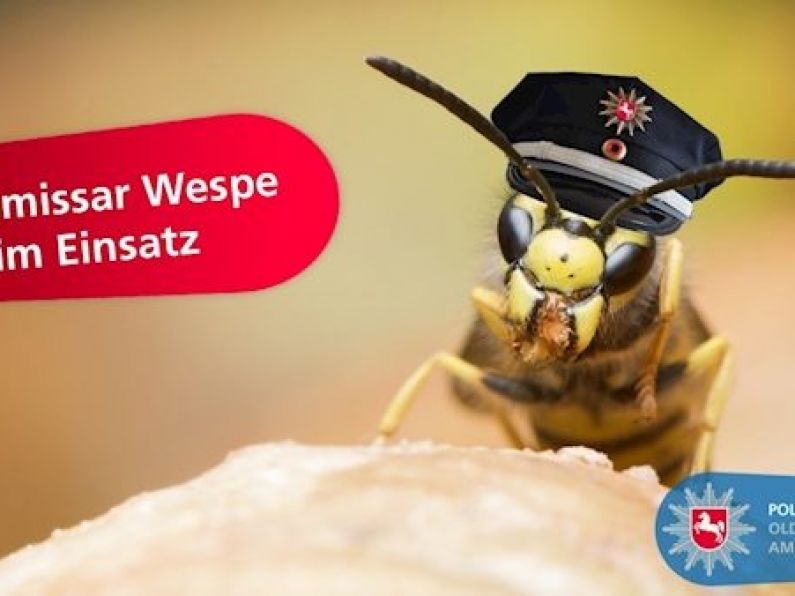 Angry wasps help German police catch fugitive in 'sting' operation