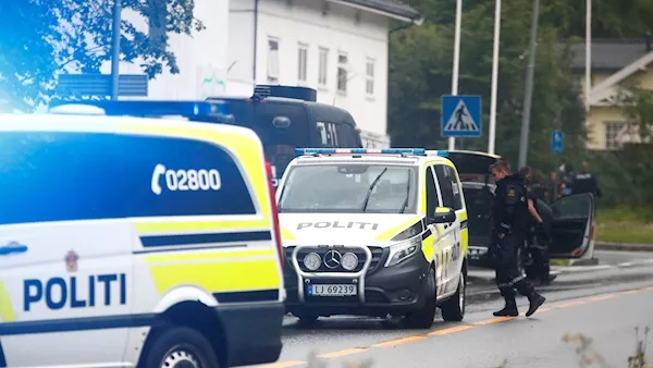 Man held over attack on Norwegian mosque ‘inspired by Christchurch suspect’
