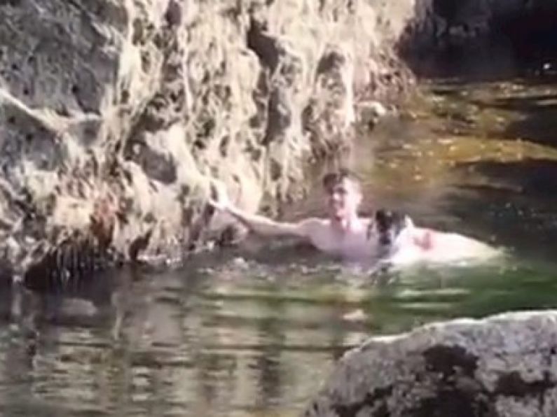 Watch: Cork teen rescues screaming sheep trapped in rising water