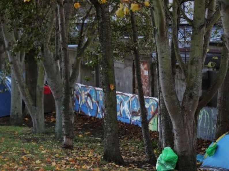 30% rise in people sleeping in tents in Dublin, housing charity says