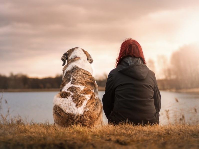 Having a pet is more likely to make you happy than being in a relationship