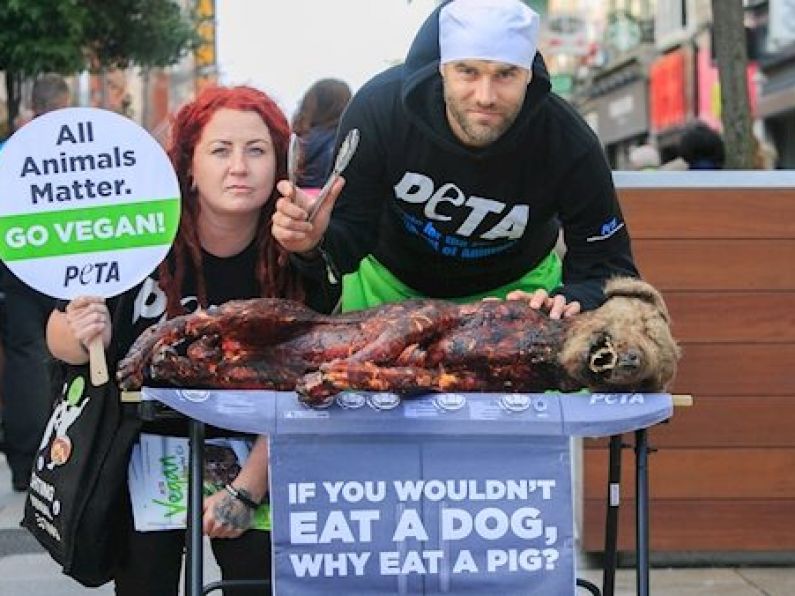 Animal rights activists barbecue fake dog to persuade Dublin shoppers to go vegan
